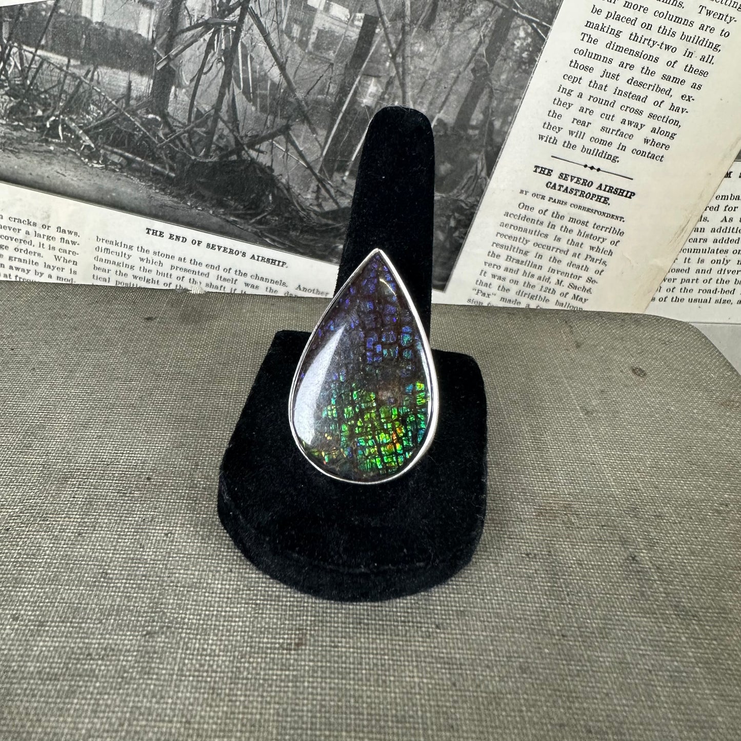 Ammolite - Size: Adjustable